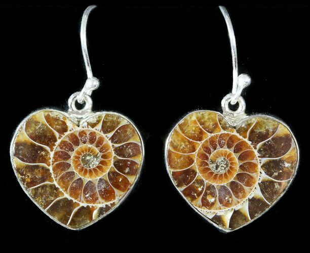 Fossil Ammonite Earrings - Sterling Silver #48741